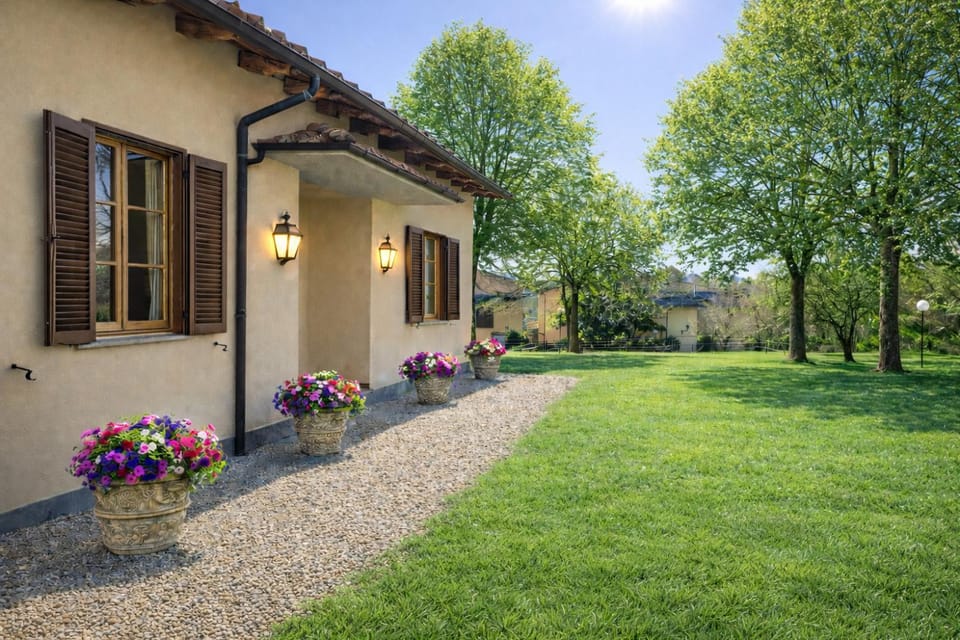 Patio, Garden, Garden view