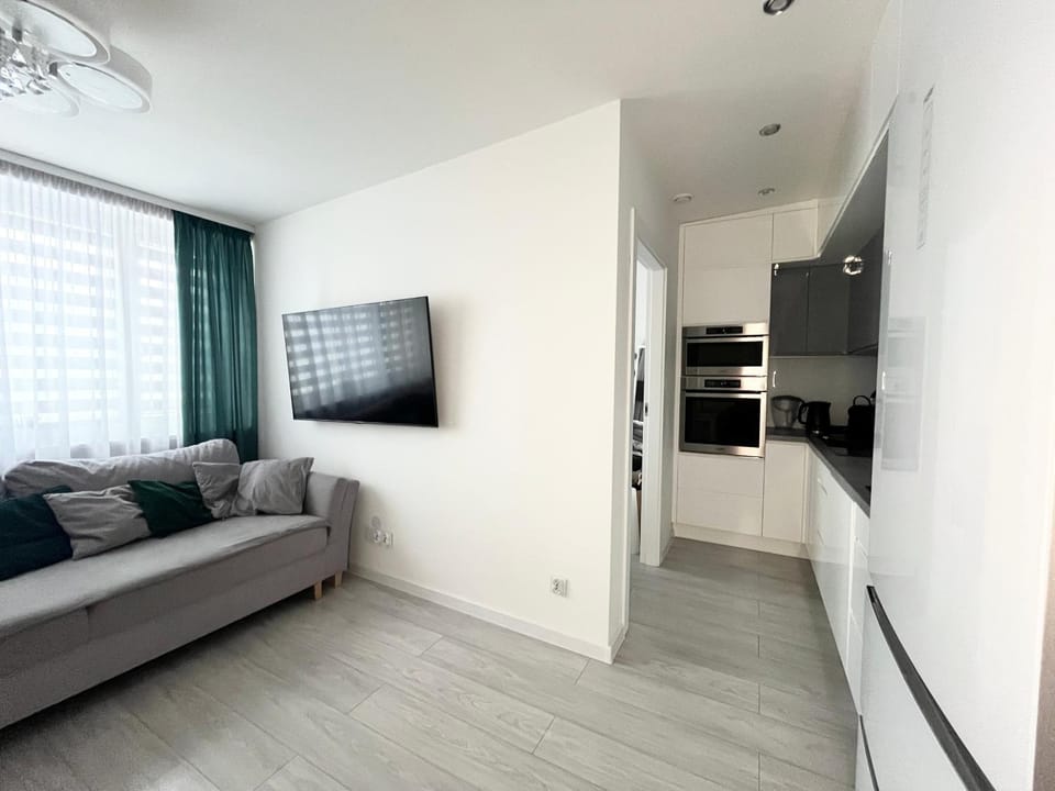 Bed, TV and multimedia, Kitchen or kitchenette, Living room, Photo of the whole room, Seating area, Dining area, oven, stove