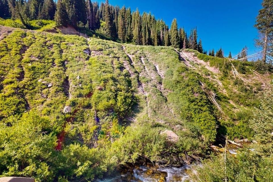 Iconic creekside mountain home with hot tub fireplaces balcony & amazing views House in Alta