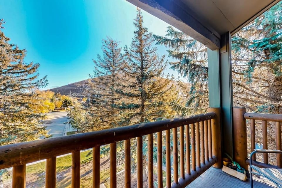 Condo close to ski lifts & Sundance Film Festival with fireplace & on-site hot tub House in Park City