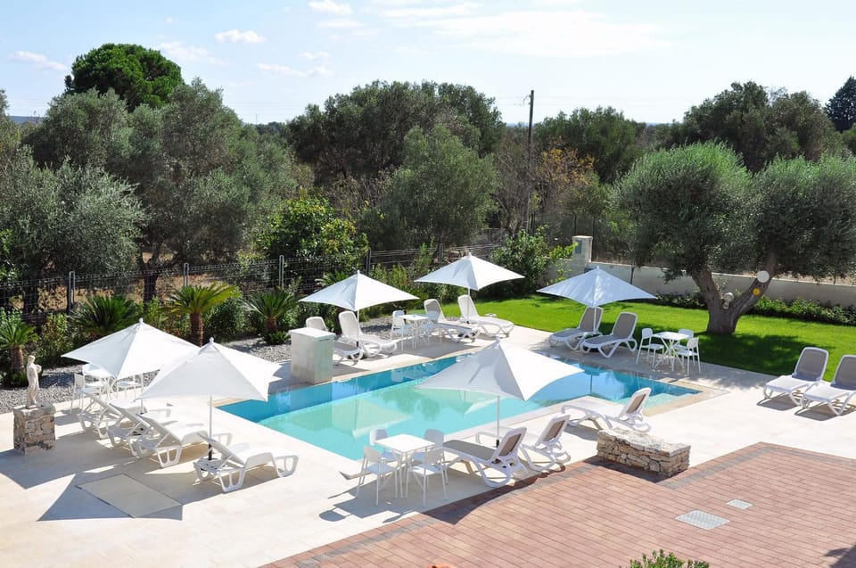 Garden, Swimming pool, sunbed
