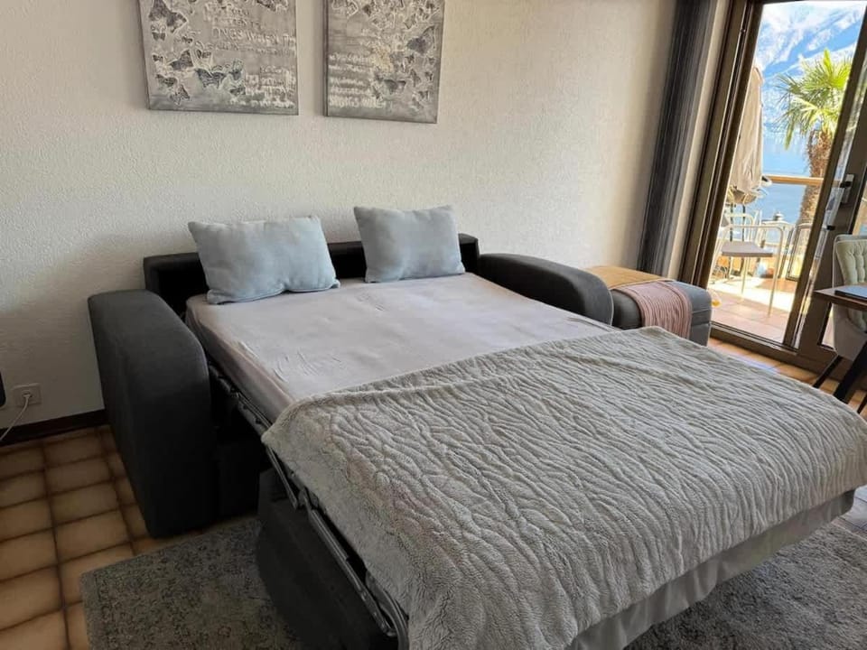 Brissago Lake and Pool Studio Lake View Indoor Pool Apartment in Canton of Ticino