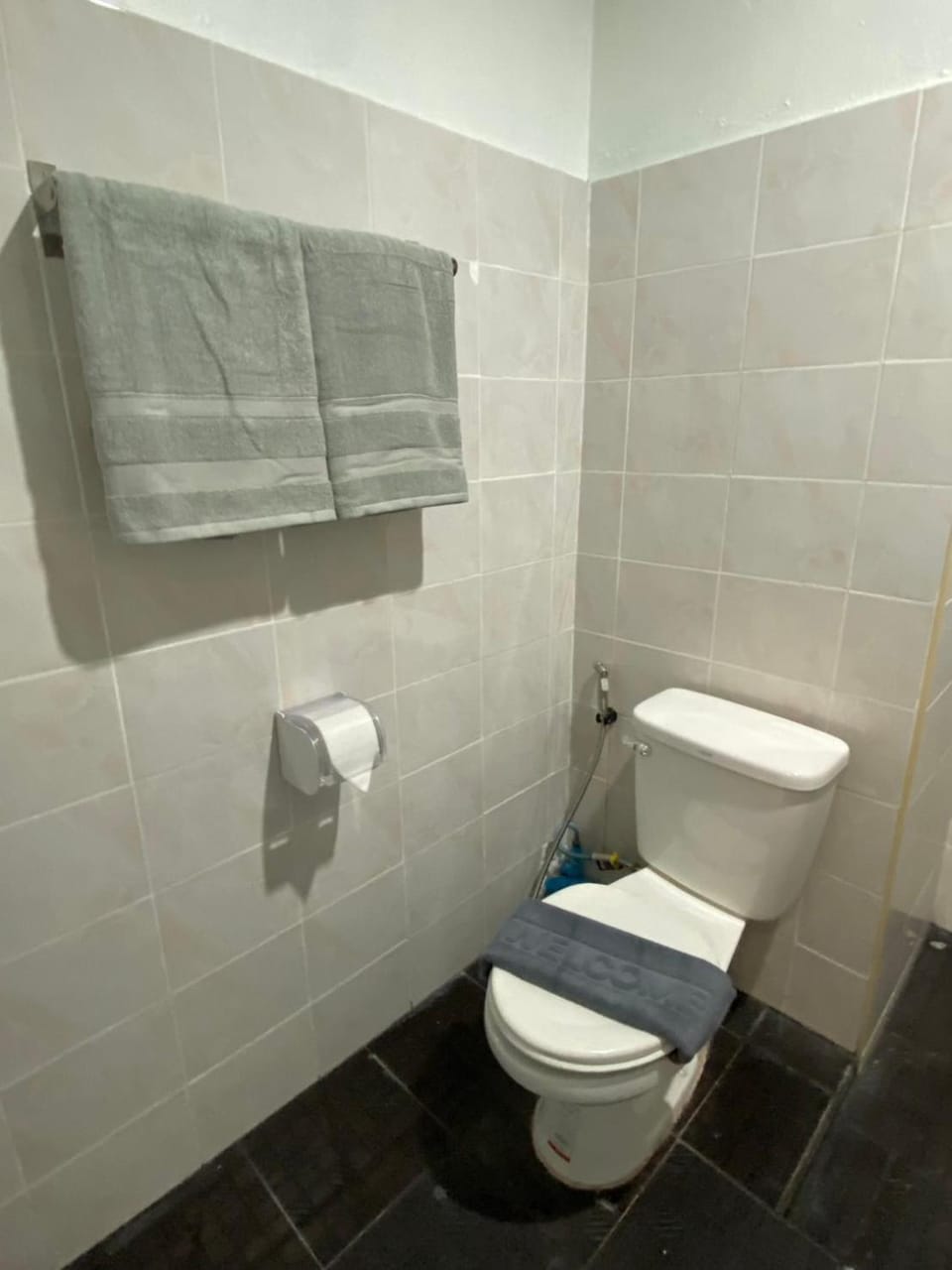 Shower, Toilet, Bathroom, towels