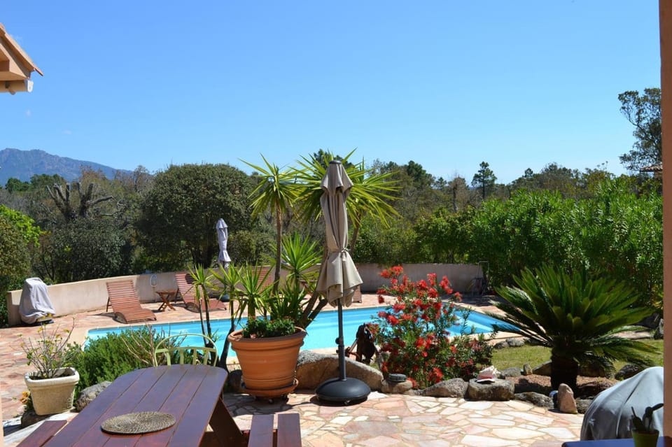 Garden, Swimming pool