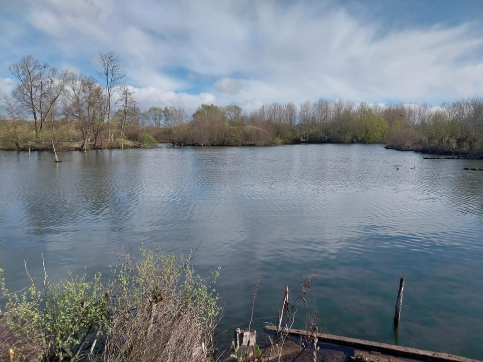 Fishing