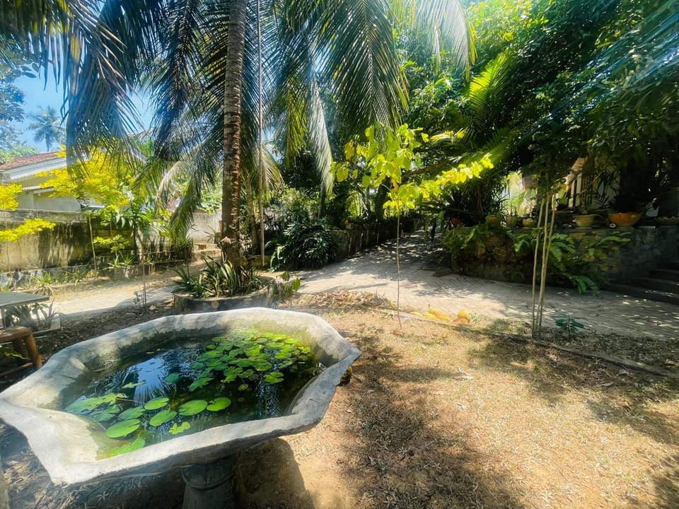 Garden view