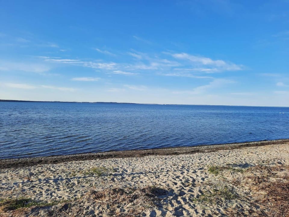 Lake view