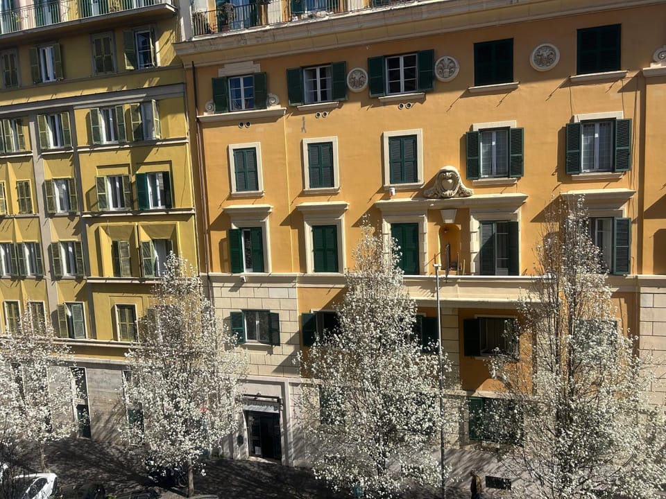 View (from property/room)
