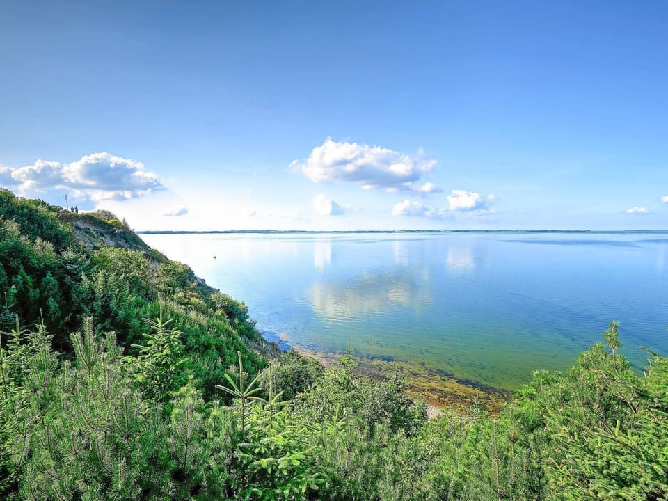 Lake view