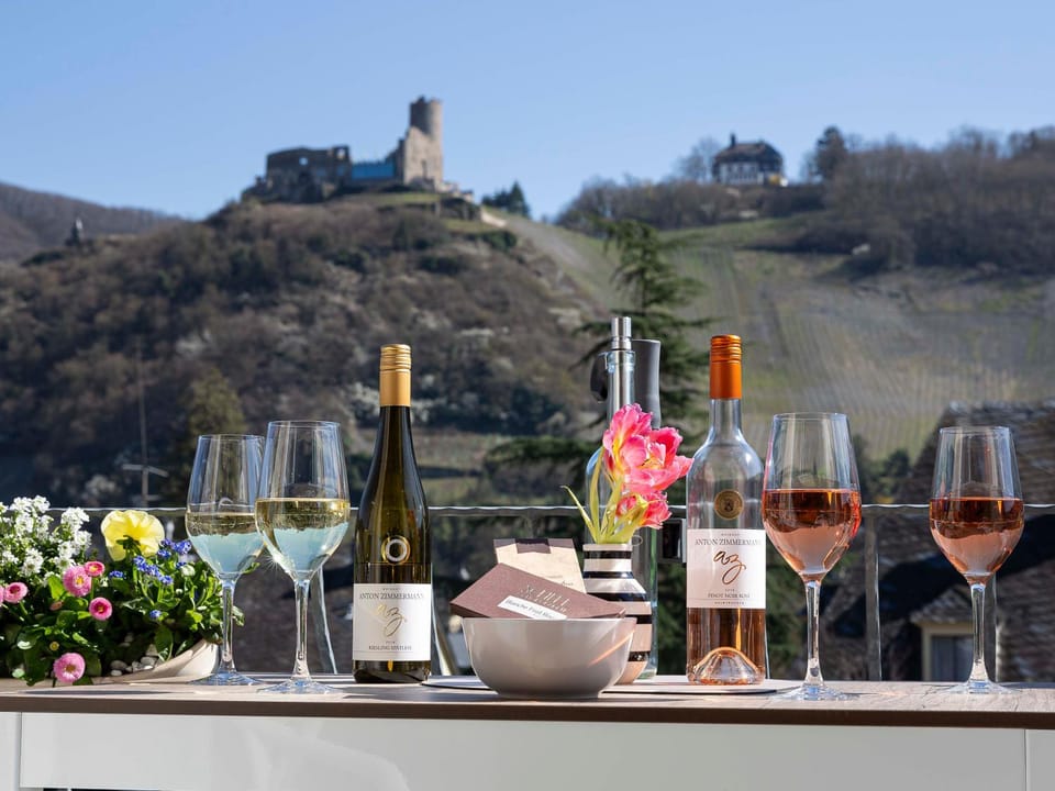 Urlaub auf dem Weingut mit Blick auf die Weinberge Apartment in Graach an der Mosel