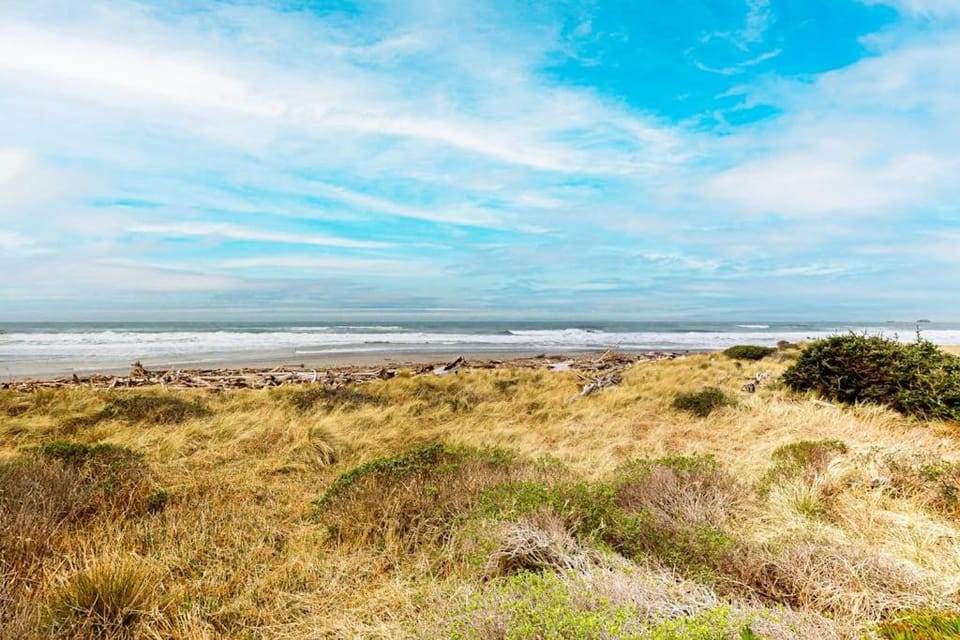 Modern oceanfront home with private hot tub patio & gas fireplace House in Gold Beach