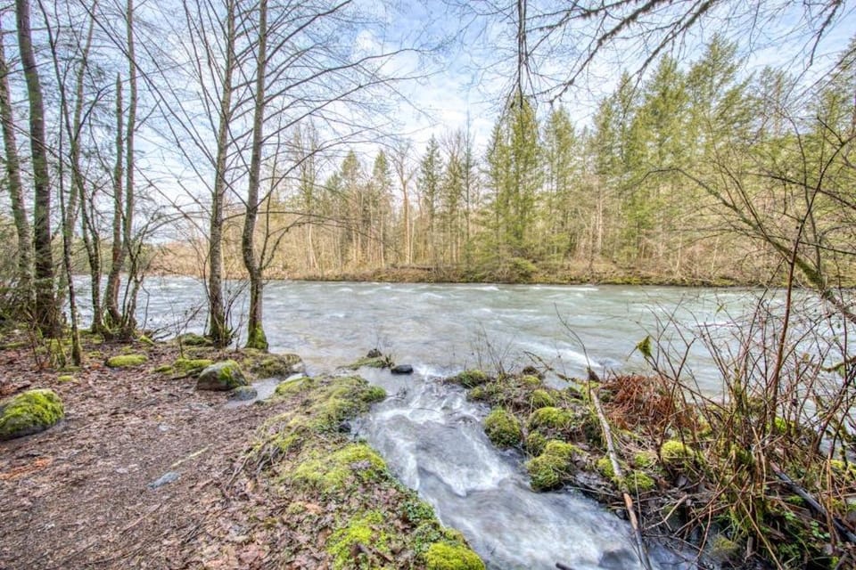 Historic riverfront Steiner cabin in forest with firepit deck & patio lounging Cabin in Mount Hood Village