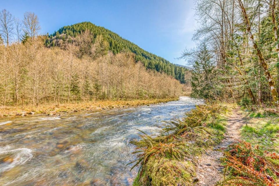 Fantastic river cabin near Mount Hood with private hot tub firepit & wood stove Cabin in Mount Hood Village