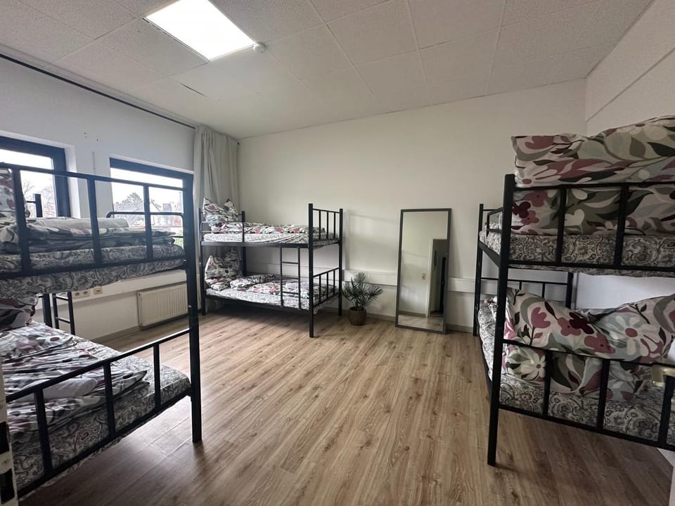 Bed, Photo of the whole room, Bedroom, bunk bed