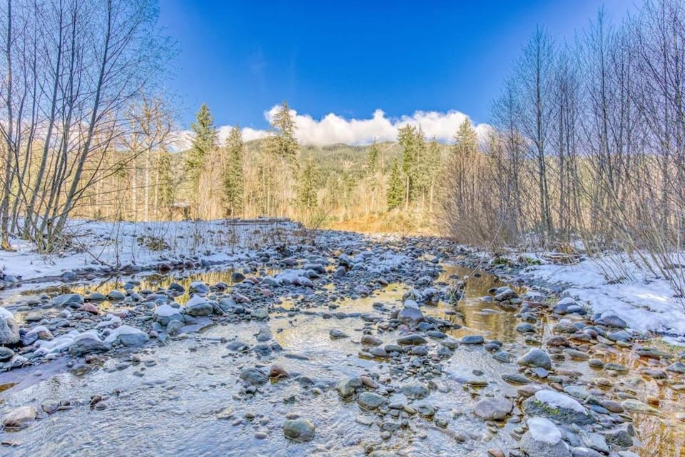 Quiet riverfront cabin with private hot tub & scenic location Cabin in Mount Hood Village