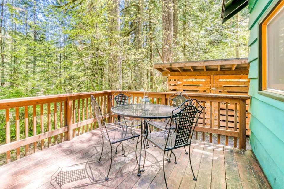 Modern cozy dog-friendly mountain retreat in central location House in Clackamas County