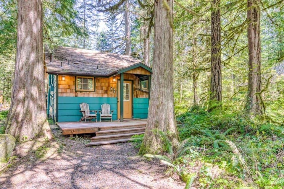 Modern cozy dog-friendly mountain retreat in central location House in Clackamas County