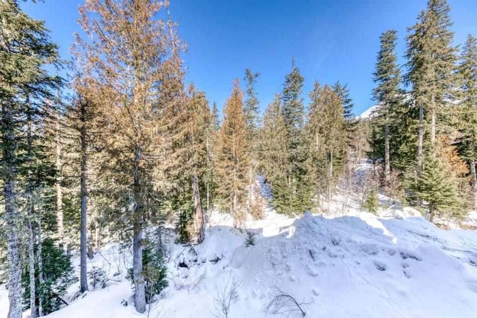Luxury mountain condo withshared pool & hot tub patio & easy ski access House in Clackamas County