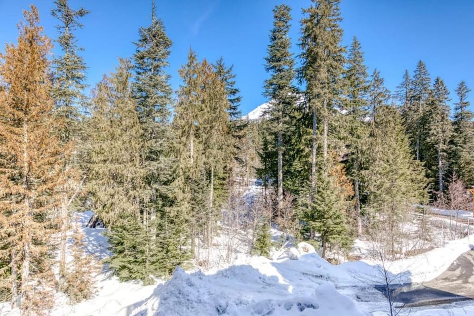 Luxury mountain villa with patio easy ski access & shared hot tub pool & sauna House in Clackamas County