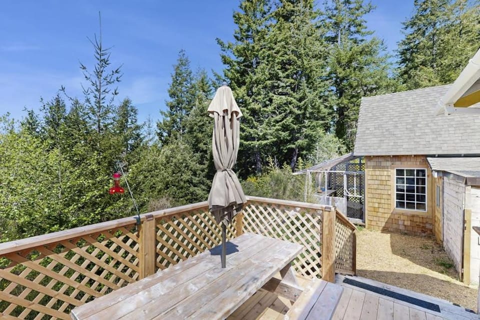 Dog-friendly cabin tucked Into the trees with WiFi washer&dryer & ocean views Cabin in Port Orford