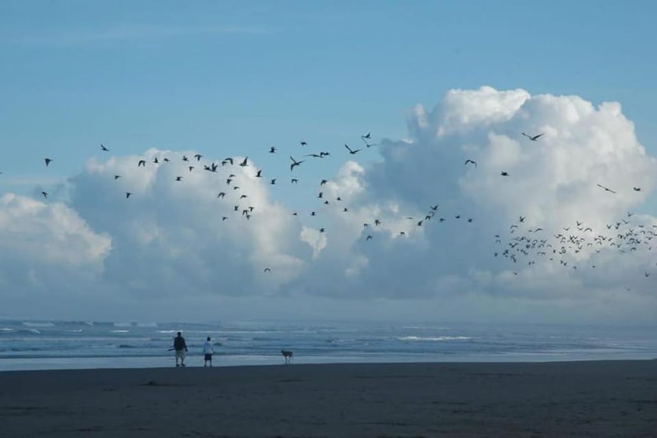 Ocean view home with WiFi gas fireplaces private washer&dryer and foosball House in Seaside