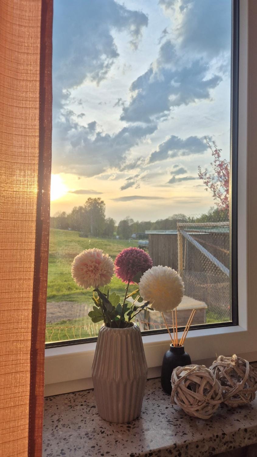 View (from property/room), Sunset