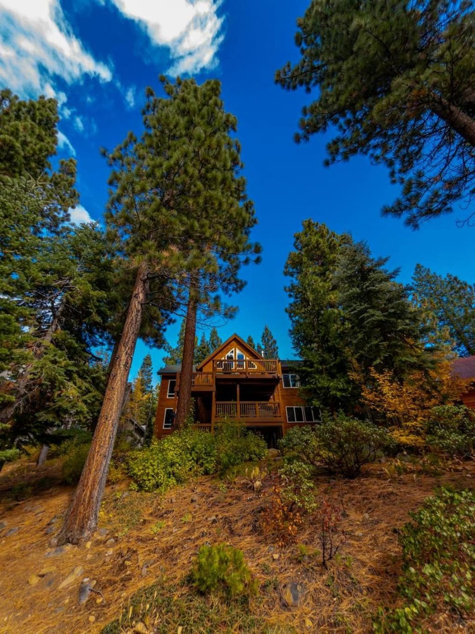 Peaceful Forest Retreat with Hot Tub EV Charger Game Room & Near Kings Beach House in Tahoe Vista