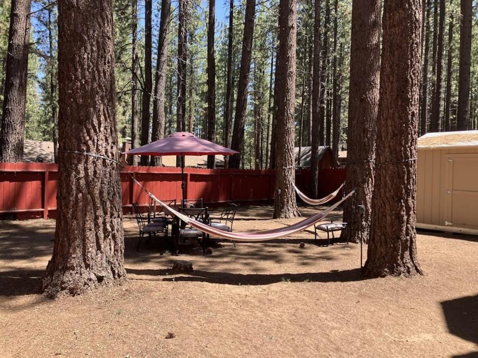 All-season dog-friendly cabin with fireplace & deck - near Heavenly & beach Cabin in South Lake Tahoe