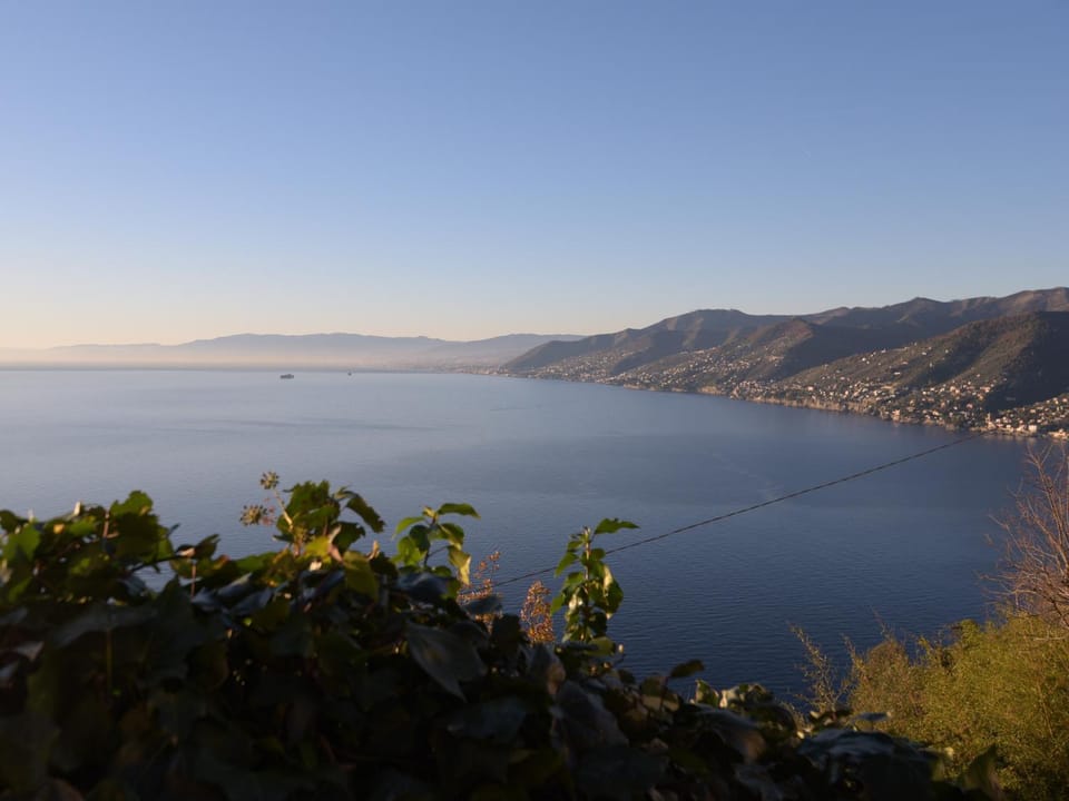 Sea view