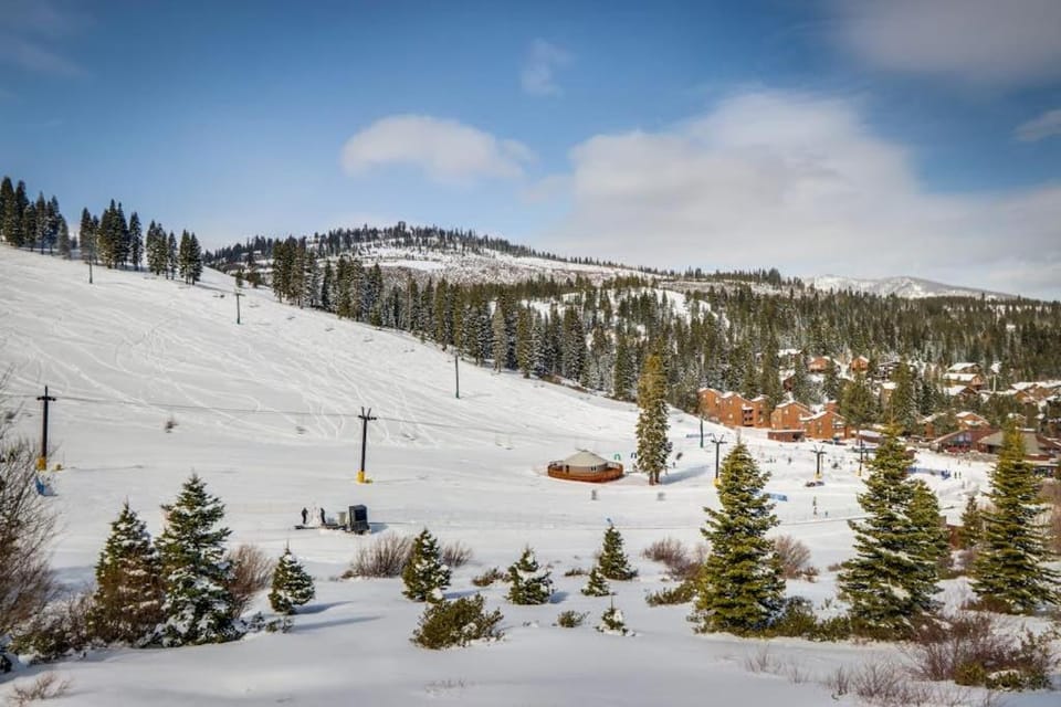 Dog-friendly cabin with pool & hot tub - near hiking & skiing Cabin in Truckee