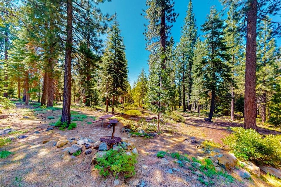 Mountain cabin with amazing views hot tub office & Pac-Man arcade near skiing Cabin in Tahoe Vista
