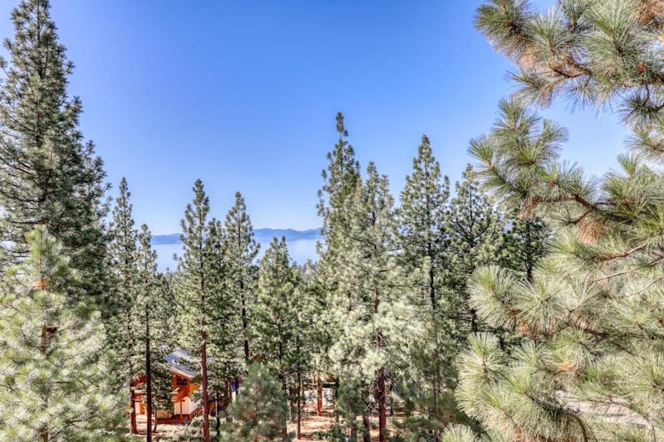 Dog-friendly chalet with amazing lake views & pool access - near lake & slopes House in Incline Village