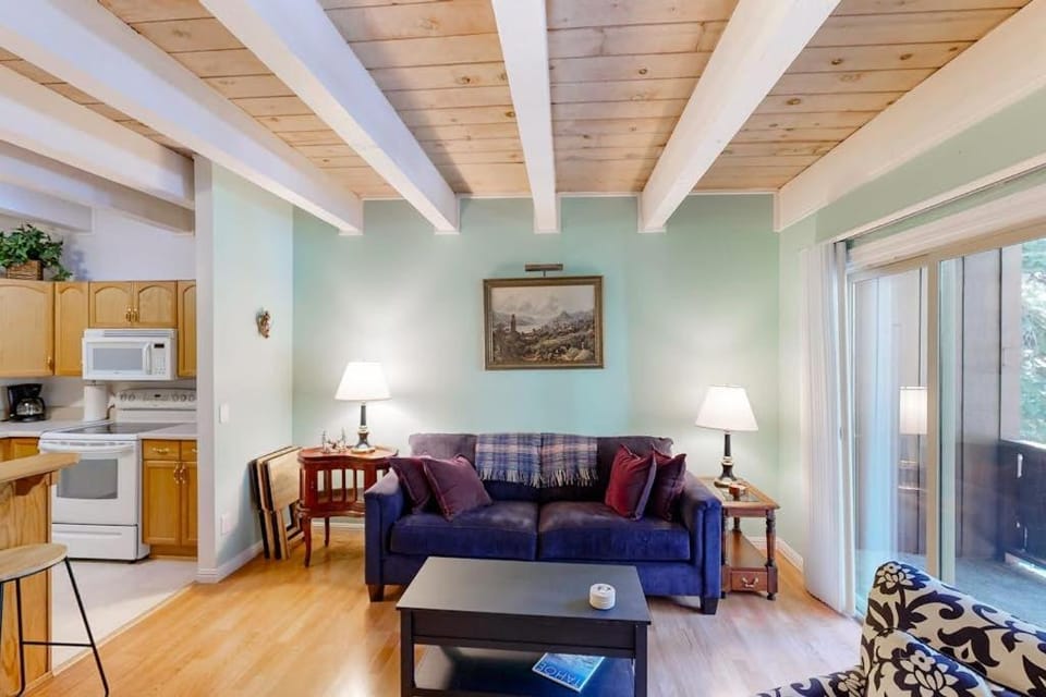 Forest-view condo with wood fireplace & walkable locale - dog-friendly House in Incline Village