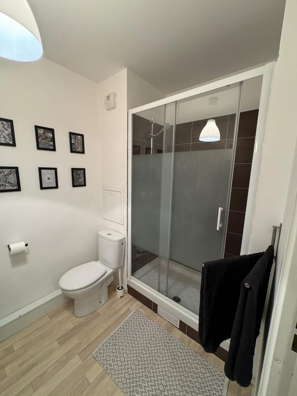 Toilet, Bathroom, towels, washing machine