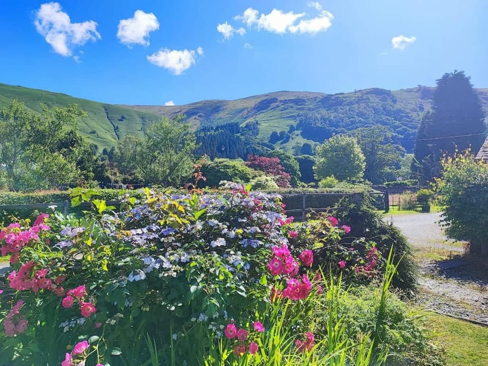 Garden, Mountain view