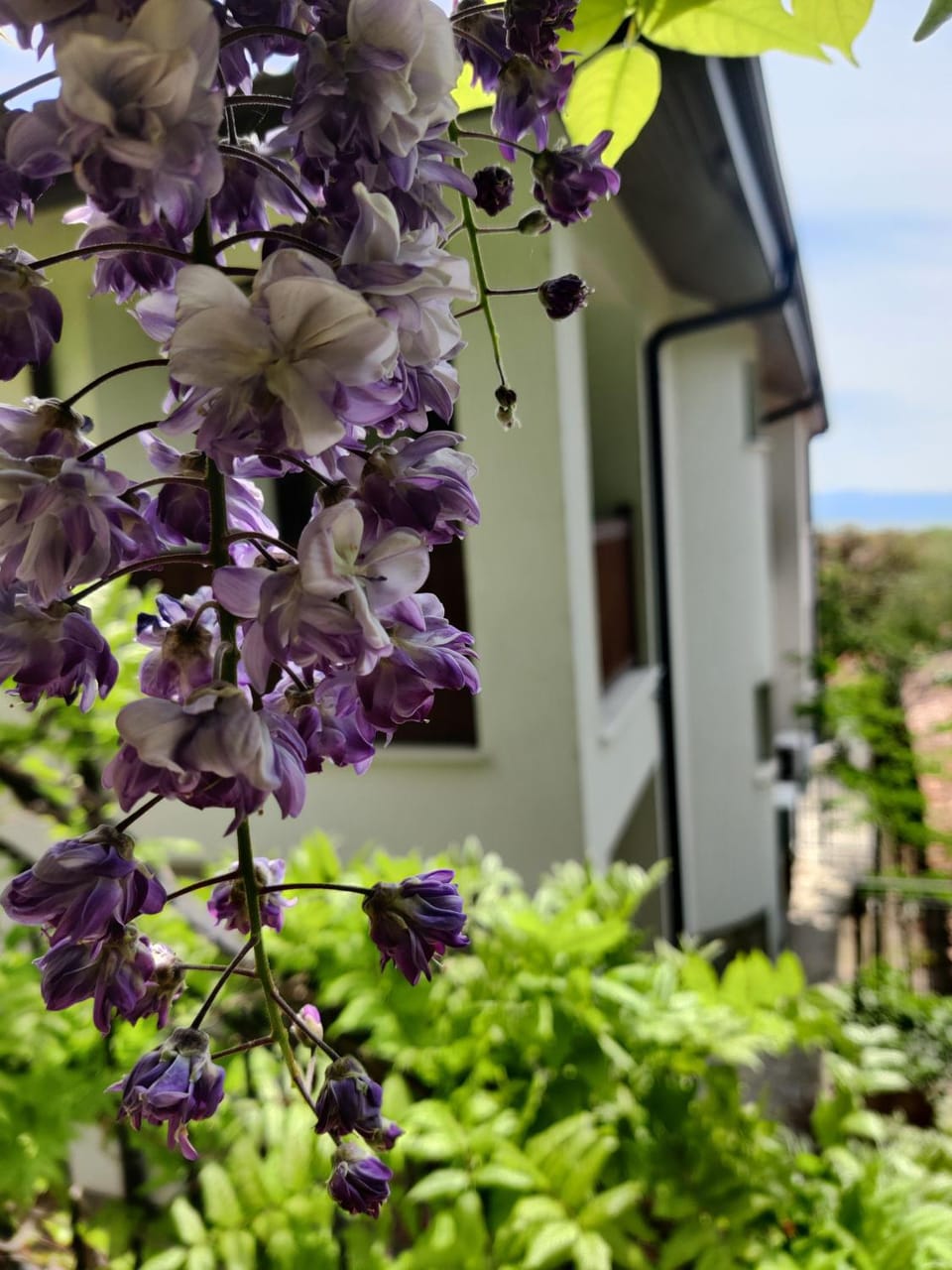 Cloudbase Guesthouse Bed and Breakfast in Plovdiv Province