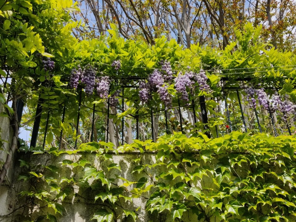 Cloudbase Guesthouse Bed and Breakfast in Plovdiv Province
