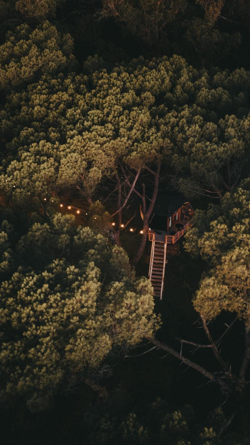 Treehouse Elena Bed and Breakfast in Tandil