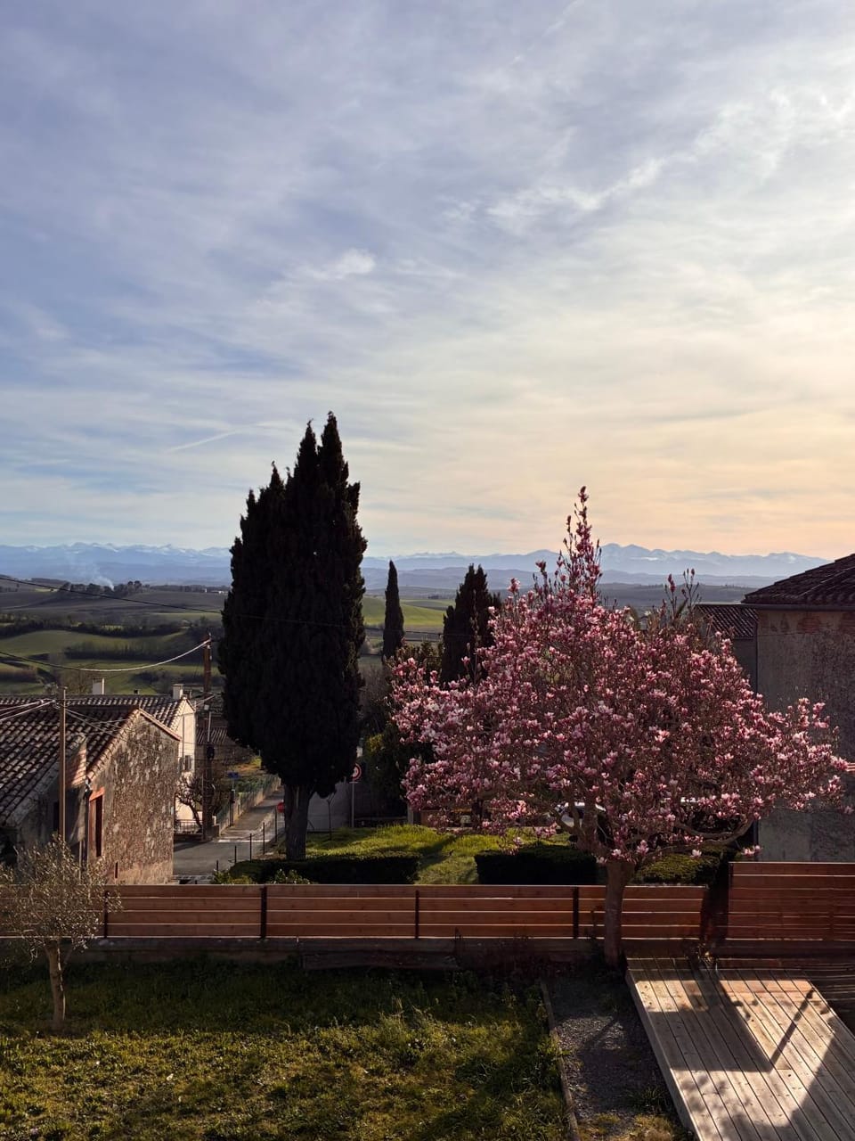 View (from property/room)