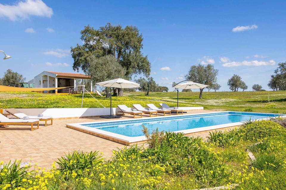 Property building, Natural landscape, Garden, Swimming pool, sunbed