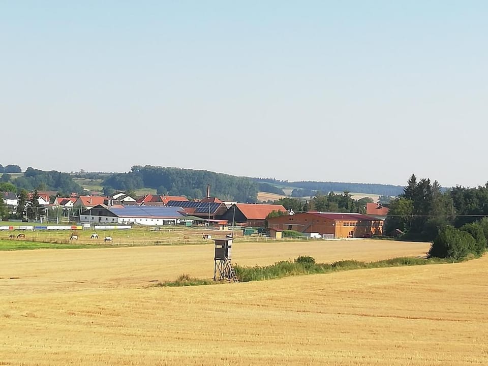Farm vacation with wellness and horses Apartment in Straubing-Bogen