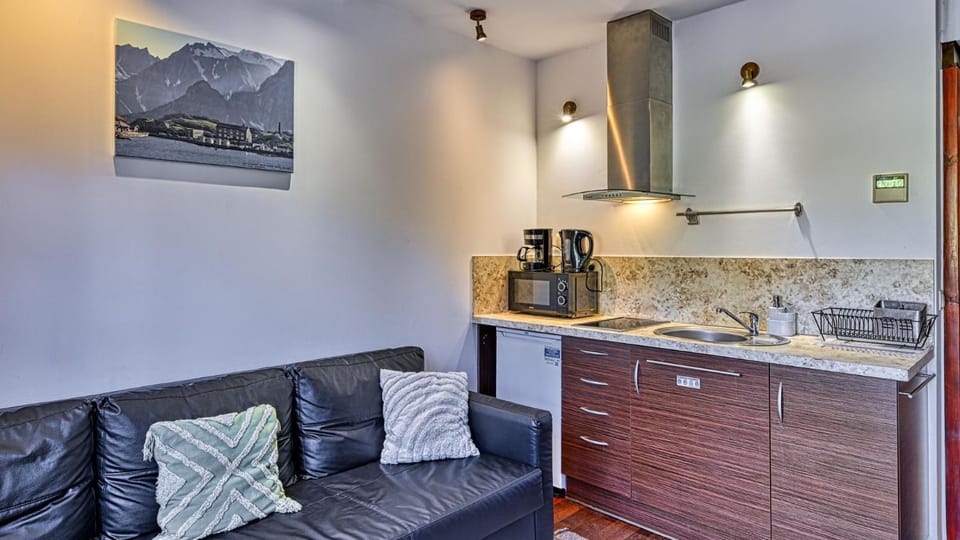 Lola 33 - Dwupoziomowy Apartament przy wyciągu Apartment in Lower Silesian Voivodeship