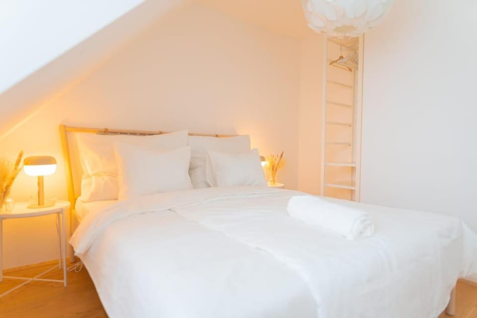 Airconditioned Penthouse Apartment in Vienna