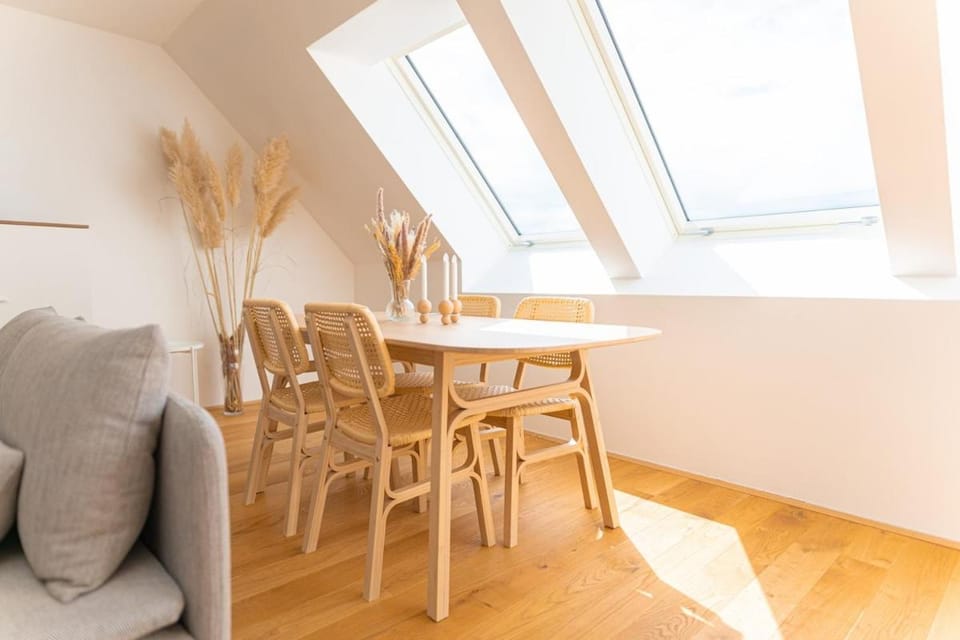 Airconditioned Penthouse Apartment in Vienna