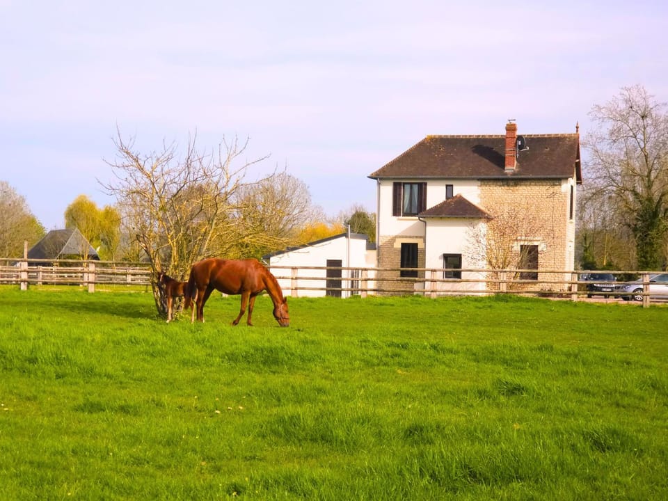 Property building, Natural landscape