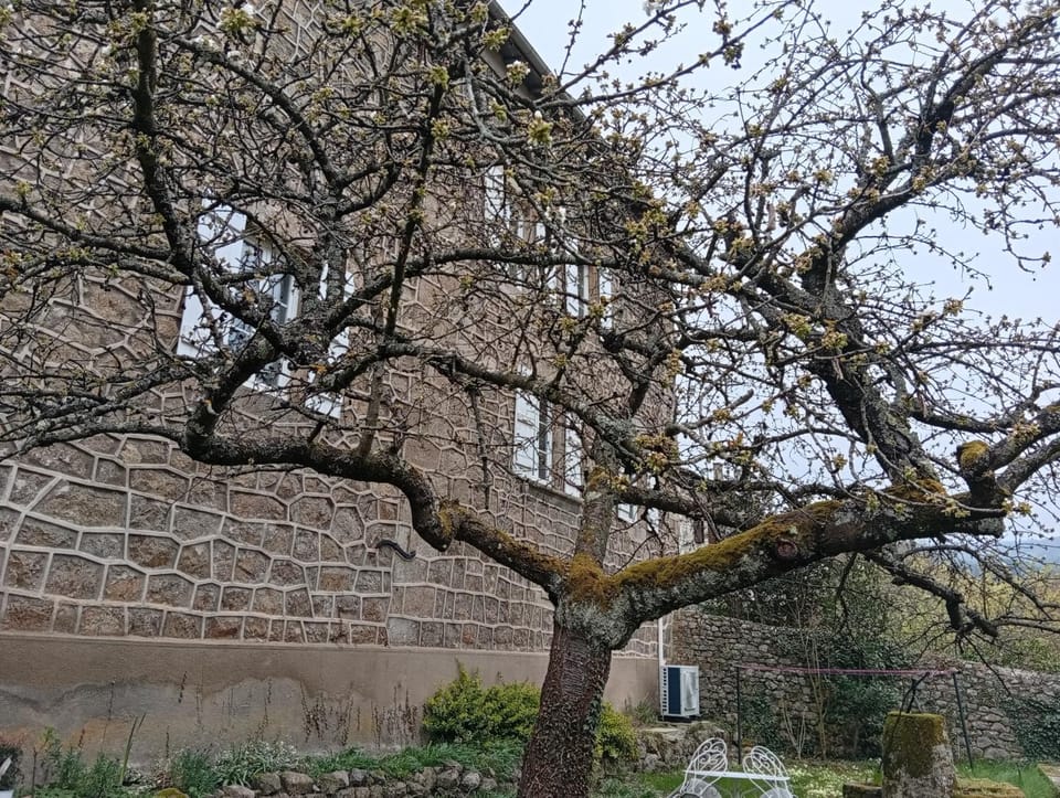 Les Lavandières Bed and Breakfast in Auvergne-Rhône-Alpes