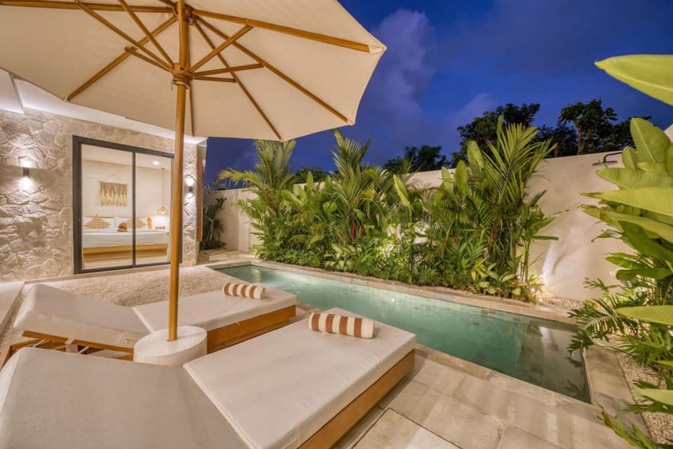 Night, Swimming pool, sunbed