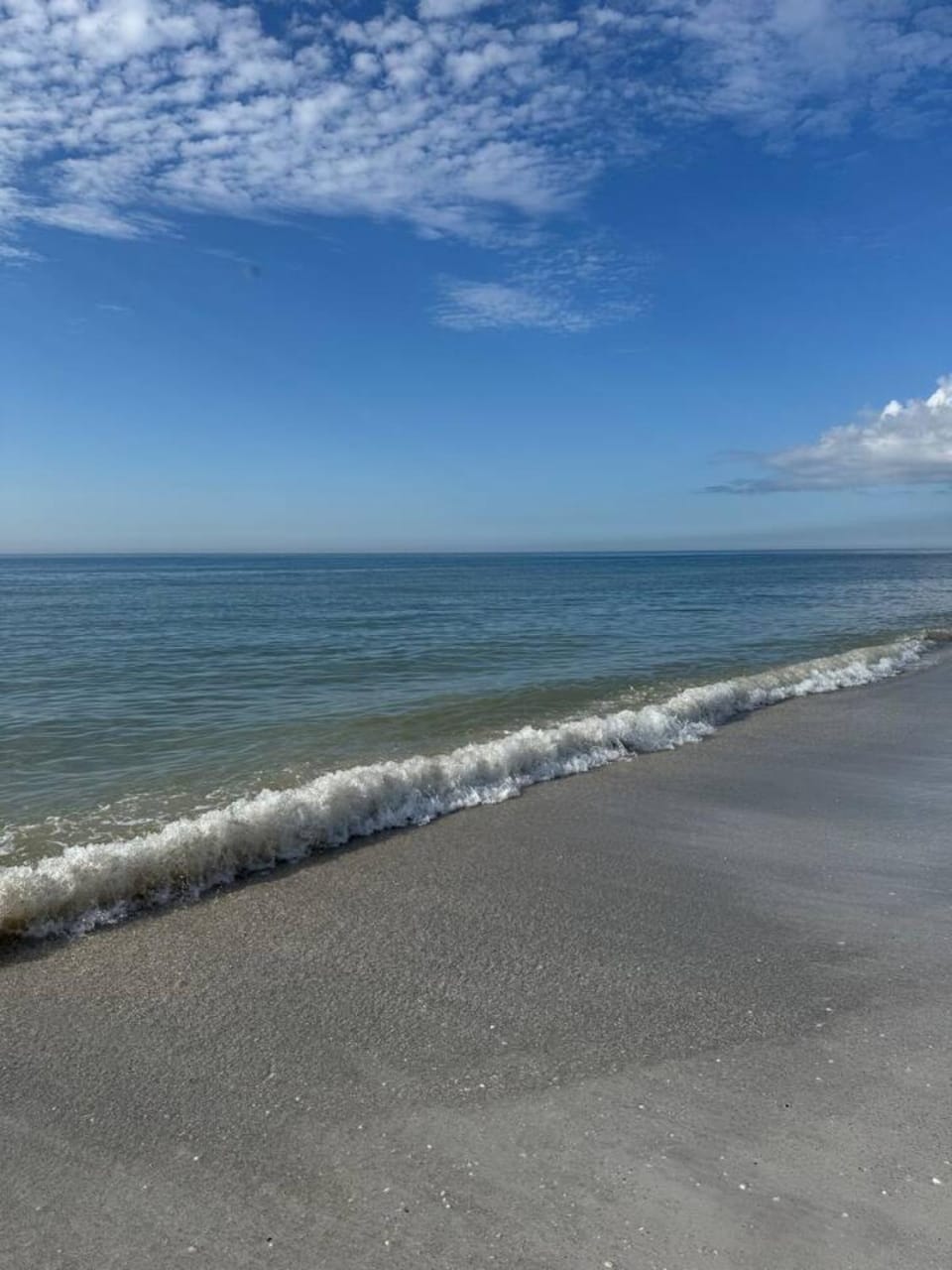 "Grove" Historic Beachside Cottage Apt Apartment in Indian Rocks Beach