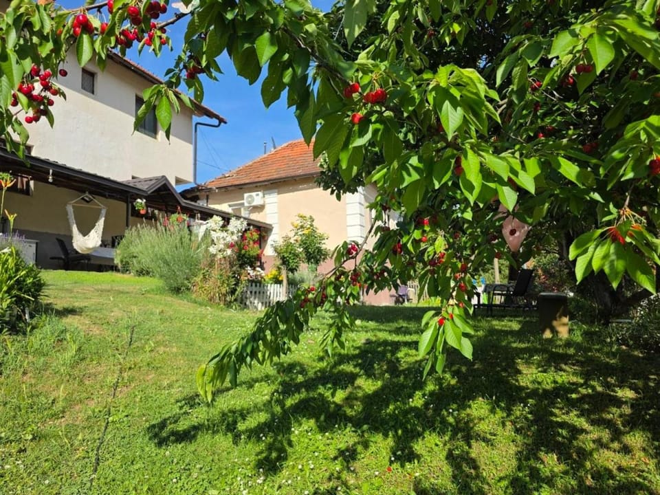 Spring, Garden, Garden view