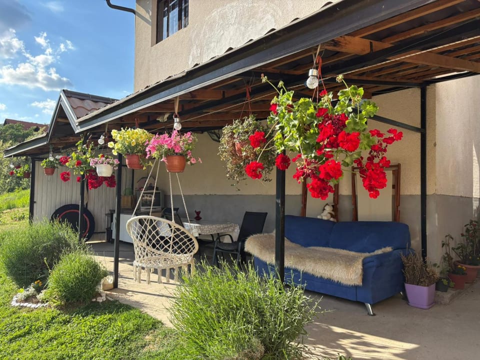 Patio, Day, Garden, Garden view